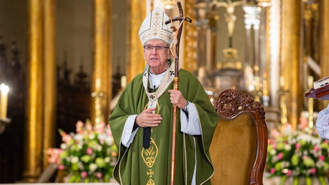 Cardenal De Peru